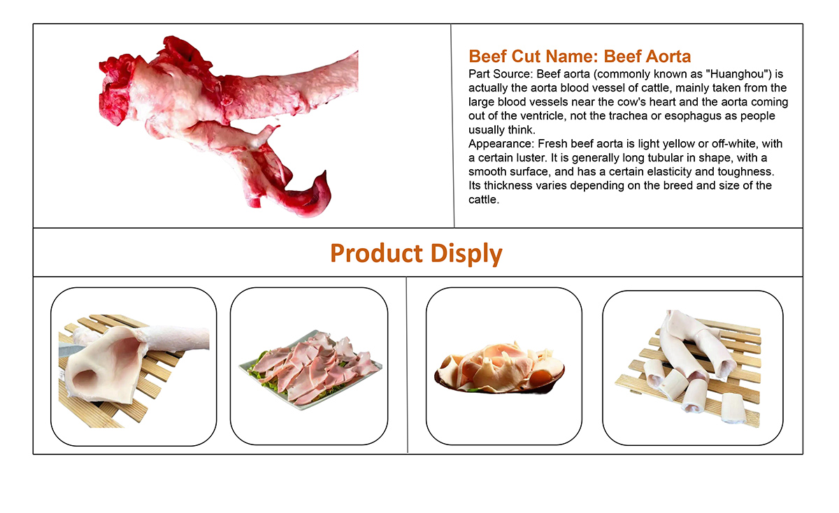 Beef Aorta.jpg