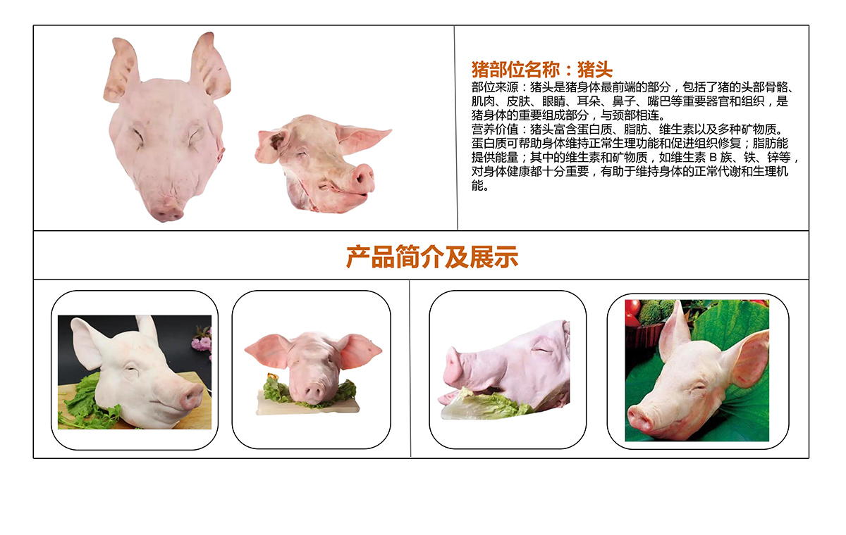 猪头.jpg