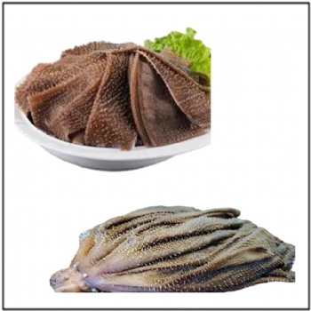Beef Omasum