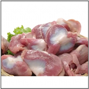 Chicken Gizzard