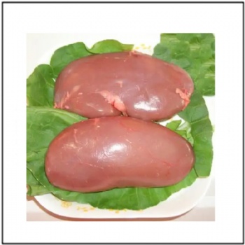 Pork Kidney