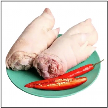 Front Feet