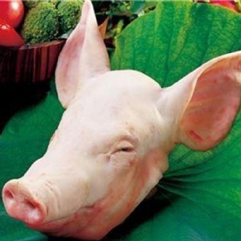 Pork Head