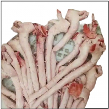 Pork Aorta