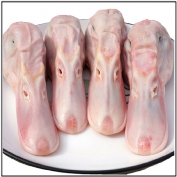Duck Head