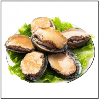 Abalone