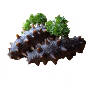 Sea Cucumbers