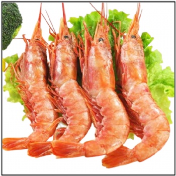 Pleoticus Muelleri